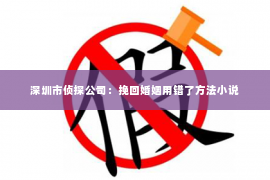 深圳市侦探公司：挽回婚姻用错了方法小说