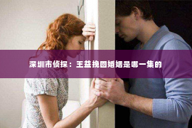 深圳市侦探：王益挽回婚姻是哪一集的