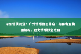 深圳情侦调查：广州情感挽回排名：揭秘专业挽回机构，助力情感修复之路