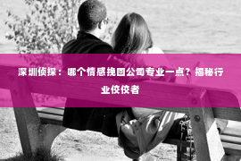 深圳侦探：哪个情感挽回公司专业一点？揭秘行业佼佼者